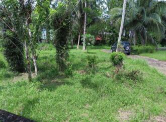 Commercial Land for Sale in Pathanamthitta, Pathanamthitta, Mylapra, mylaprapallipady