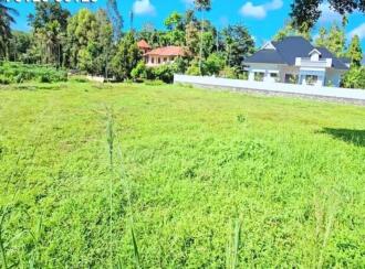 Residential Land for Sale in Ernakulam, Kothamangalam, Kuttamangalam, Malayinkizhu-Thrikkariyur