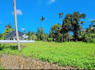 Residential Land for Sale in Ernakulam, Kothamangalam, Kuttamangalam, Malayinkizhu-Thrikkariyur
