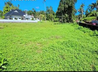 Residential Land for Sale in Ernakulam, Kothamangalam, Kuttamangalam, Malayinkizhu-Thrikkariyur