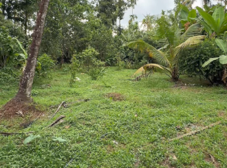 Residential Land for Sale in Thrissur, Chalakudy, Pariyaram, ATHIRAPILLY WATERFALLS ROUTE