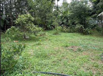 Residential Land for Sale in Thrissur, Chalakudy, Pariyaram, ATHIRAPILLY WATERFALLS ROUTE