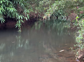 Residential Land for Sale in Thrissur, Chalakudy, Pariyaram, ATHIRAPILLY WATERFALLS ROUTE