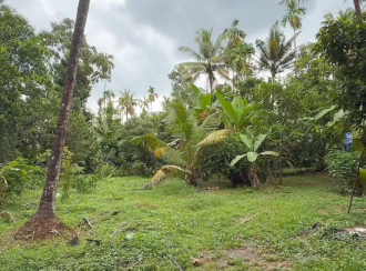 Residential Land for Sale in Thrissur, Chalakudy, Pariyaram, ATHIRAPILLY WATERFALLS ROUTE