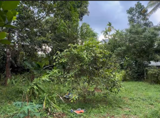 Residential Land for Sale in Thrissur, Chalakudy, Pariyaram, ATHIRAPILLY WATERFALLS ROUTE