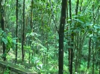 Residential Land for Sale in Kollam, Anchal, Anchal, St. George Cyrian Catholic Christian Church.