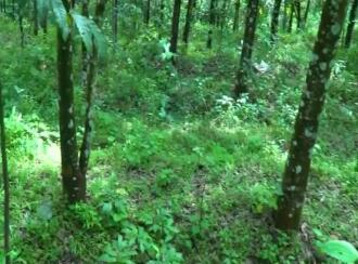 Residential Land for Sale in Kollam, Anchal, Anchal, St. George Cyrian Catholic Christian Church.