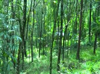 Residential Land for Sale in Kollam, Anchal, Anchal, St. George Cyrian Catholic Christian Church.