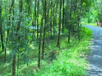 Residential Land for Sale in Kollam, Anchal, Anchal, St. George Cyrian Catholic Christian Church.