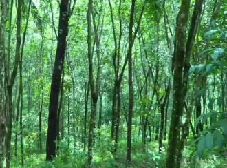 Residential Land for Sale in Kollam, Anchal, Anchal, St. George Cyrian Catholic Christian Church.