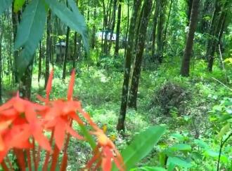 Residential Land for Sale in Kollam, Anchal, Anchal, St. George Cyrian Catholic Christian Church.
