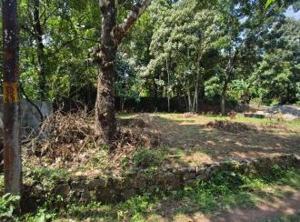 Residential Land for Sale in Kottayam, Changanassery, Paippad, 800 meter distance to Paippad junction