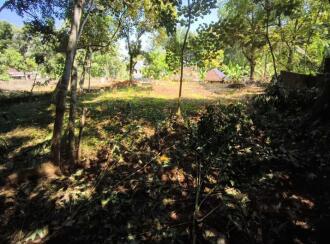 Residential Land for Sale in Kottayam, Changanassery, Paippad, 800 meter distance to Paippad junction
