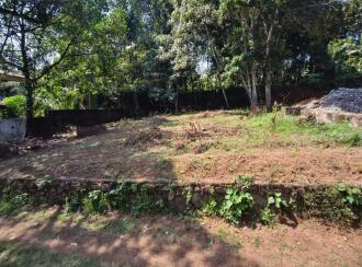Residential Land for Sale in Kottayam, Changanassery, Paippad, 800 meter distance to Paippad junction