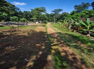 Residential Land for Sale in Kottayam, Changanassery, Paippad, 800 meter distance to Paippad junction