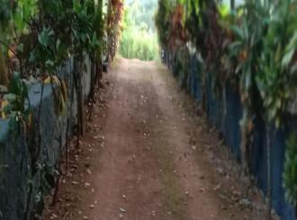 Residential Land for Sale in Pathanamthitta, Elavumthitta, Ramanchira, Thumbamon North