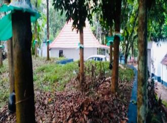 Residential Land for Sale in Pathanamthitta, Elavumthitta, Ramanchira, Thumbamon North