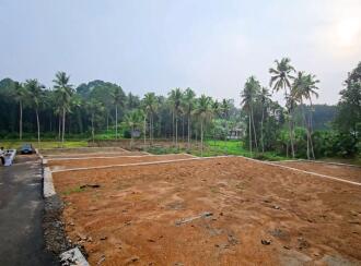 Residential Land for Sale in Pathanamthitta, Elavumthitta, Kuzhikala, kuzhikala