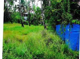 Agricultural Land for Sale in Ernakulam, Ernakulam town, South, Kottuvallikad (often referred to or typed as Vallikad)