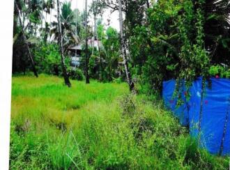 Agricultural Land for Sale in Ernakulam, Ernakulam town, South, Kottuvallikad (often referred to or typed as Vallikad)