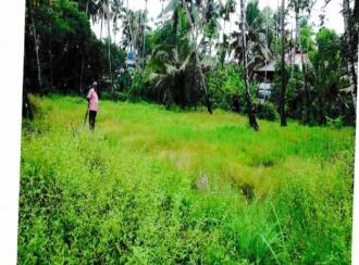 Agricultural Land for Sale in Ernakulam, Ernakulam town, South, Kottuvallikad (often referred to or typed as Vallikad)