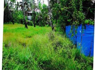 Agricultural Land for Sale in Ernakulam, Ernakulam town, South, Kottuvallikad (often referred to or typed as Vallikad)