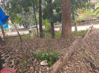 Residential Land for SaleKannur, Thaliparamba, Morazha