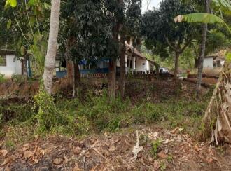 വാസയോഗ്യമായ ഭൂമി വില്പനയ്ക്ക് Kannur, Thaliparamba, Morazha, Ozhakrom Vellikkeel Road