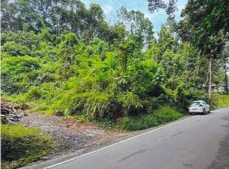 Residential Land for Sale in Ernakulam, Kolenchery, Kolenchery, Mannathur