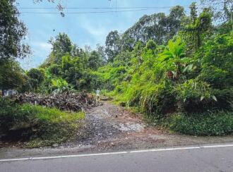 Residential Land for Sale in Ernakulam, Kolenchery, Kolenchery, Mannathur