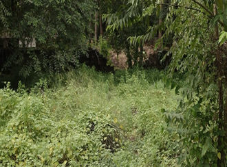 Residential Land for SaleMalappuram, Perinthalmanna, Perinthalmanna
