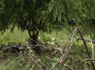 Residential Land for Sale in Malappuram, Perinthalmanna, Perinthalmanna, Sangeetha Perinthalmanna