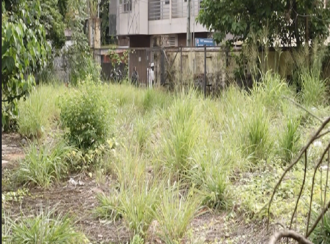 Residential Land for Sale in Malappuram, Perinthalmanna, Perinthalmanna, Sangeetha Perinthalmanna