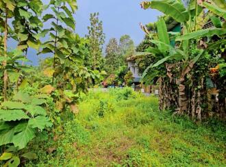 Residential Land for Sale in Idukki, Thodupuzha, Thodupuzha town, Kanjiramattam Sree Mahadeva Temple 500m