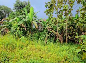 Residential Land for Sale in Idukki, Thodupuzha, Thodupuzha town, Kanjiramattam Sree Mahadeva Temple 500m