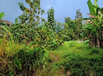 Residential Land for Sale in Idukki, Thodupuzha, Thodupuzha town, Kanjiramattam Sree Mahadeva Temple 500m