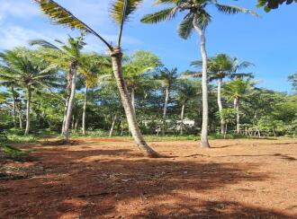 Residential Land for Sale in Trivandrum, Neyyattinkara, Thirupuram, Planthottam