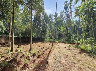 Residential Land for Sale in Trivandrum, Neyyattinkara, Thirupuram, Planthottam