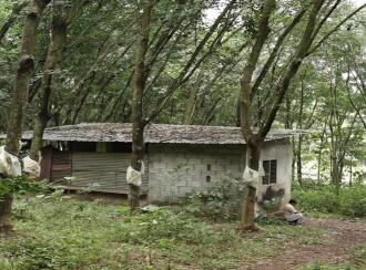 Agricultural Land for Sale in Malappuram, Nilambur, Nilambur, Chokkad