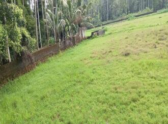 Agricultural Land for Sale in Ernakulam, Kolenchery, Ramamangalam, kinginimattom