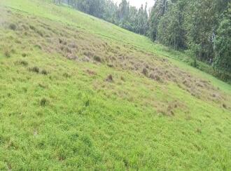 Agricultural Land for Sale in Ernakulam, Kolenchery, Ramamangalam, kinginimattom