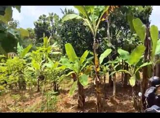 Residential Land for Sale in Trivandrum, Vattappara, Vencode, veena nager
