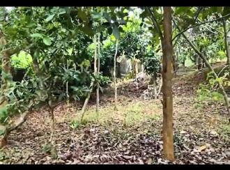 Residential Land for Sale in Trivandrum, Vattappara, Vencode, veena nager