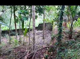 Residential Land for Sale in Trivandrum, Vattappara, Vencode, veena nager