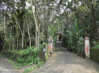 Residential Land for Sale in Pathanamthitta, Ranni, Thadiyoor, Thadiyoor Market
