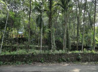 Residential Land for Sale in Pathanamthitta, Ranni, Thadiyoor, Thadiyoor Market