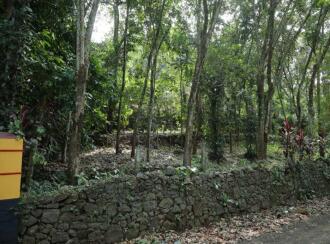 Residential Land for Sale in Pathanamthitta, Ranni, Thadiyoor, Thadiyoor Market