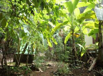 Residential Land for Sale in Pathanamthitta, Ranni, Thadiyoor, Thadiyoor Market