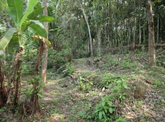 Residential Land for Sale in Pathanamthitta, Ranni, Thadiyoor, Thadiyoor Market