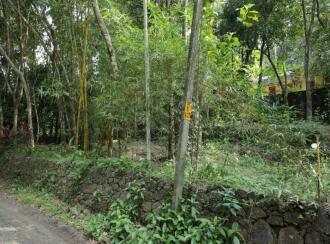 Residential Land for Sale in Pathanamthitta, Ranni, Thadiyoor, Thadiyoor Market